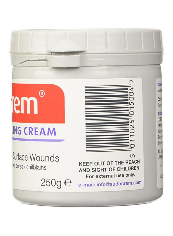 Sudocrem Antiseptic Healing Cream - 250g  - Image 3