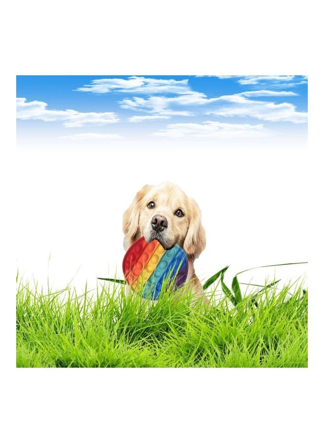 XiuWoo 2-Piece Push Pop Bubble Sensory Fidget Toy Set - Image 3