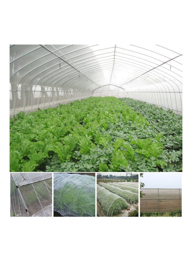 Generic Greenhouse Protective Net Clear 3.3x16.4feet  - Image 3