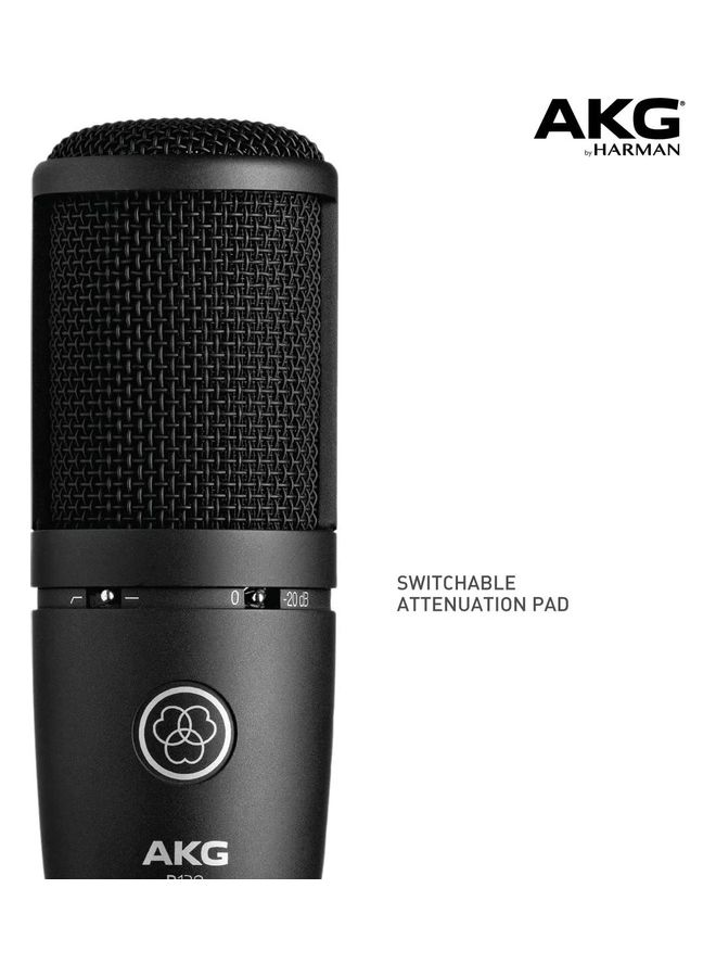 AKG - Recording Condenser Microphone AKG P120 Black - Image 1