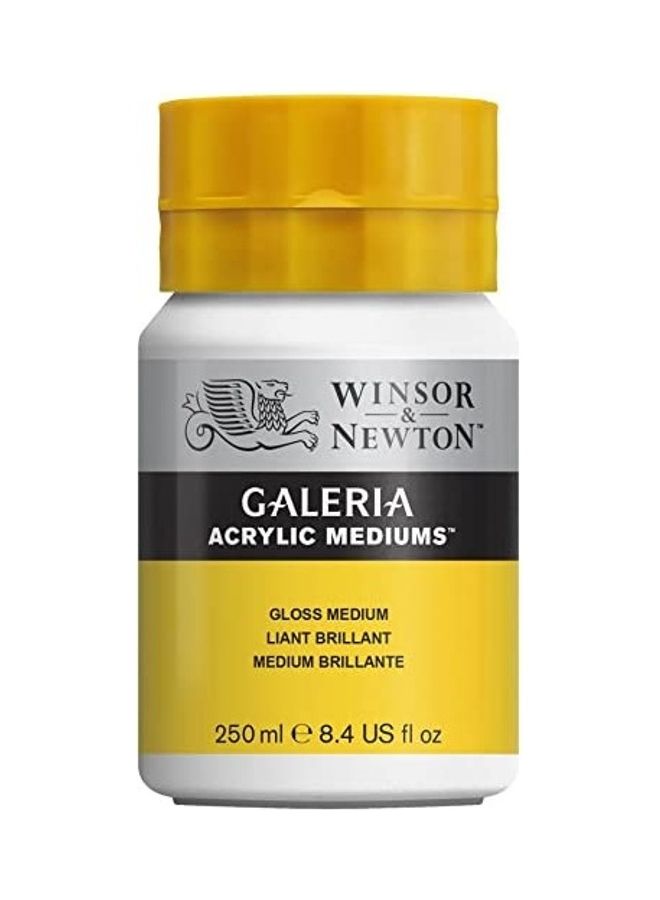 WINSOR & NEWTON Galeria Acrylic Gloss Medium 