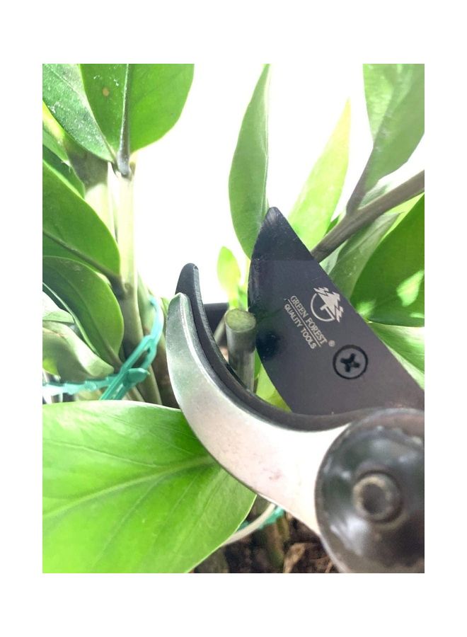 Generic - Stainless steel Pruning Shear with Extra Blade Red/Black/Silver - Image 1