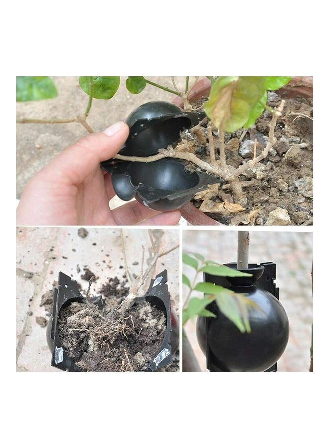 10-Piece Plastic Plant Rooting Device Black - Image 5