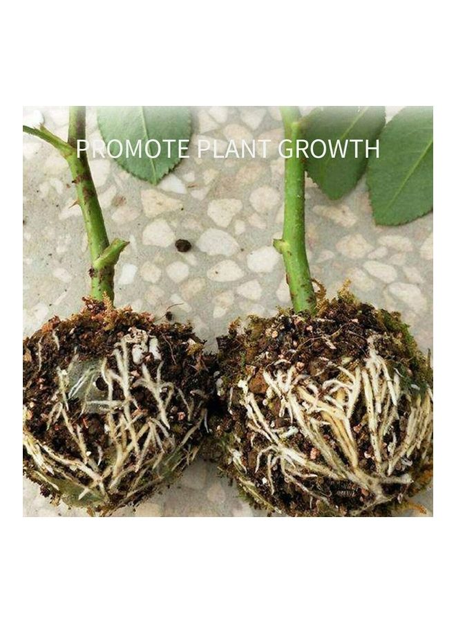 10-Piece Plastic Plant Rooting Device White - Image 3