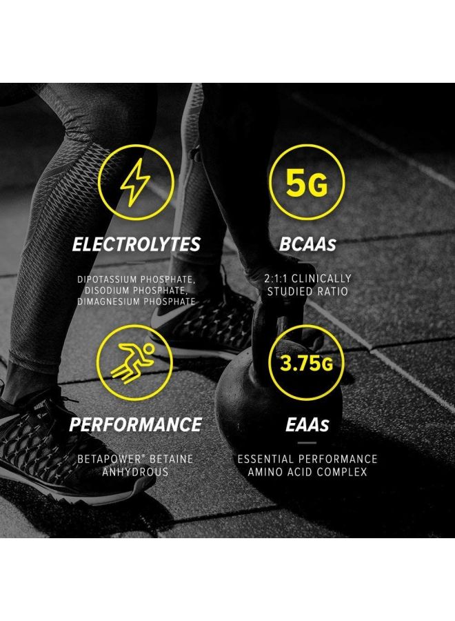 سيلوكور مسحوق مشروب رياضي ألفا أمينو بيرفورمانس - بنكهة عصير الفواكه - 30 حصة - Image 4