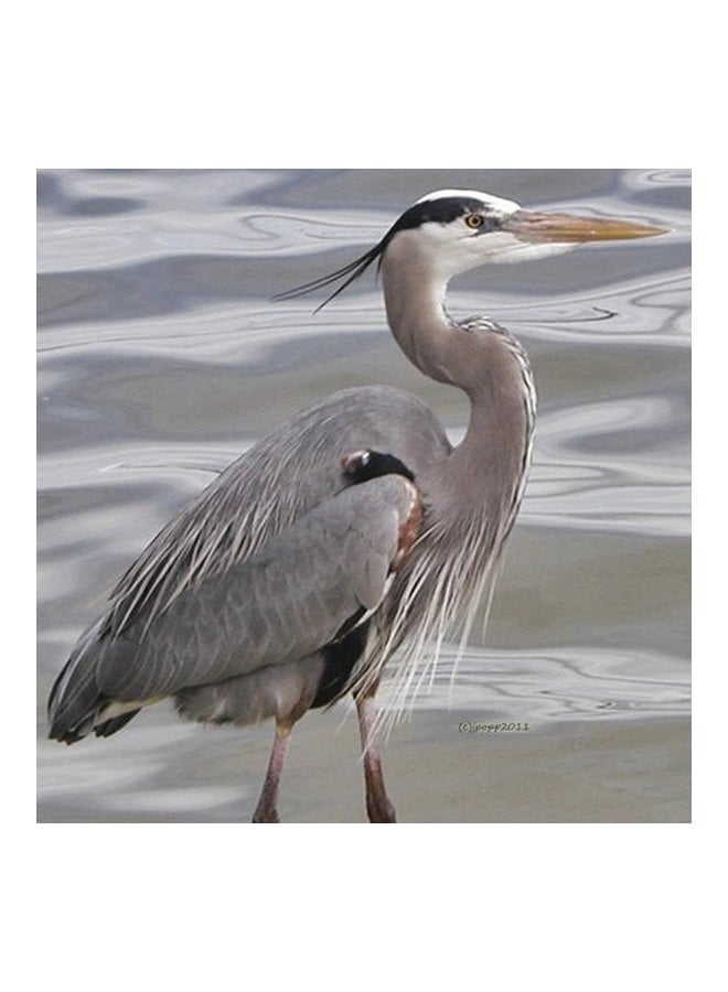 3Dروز مج عليه صورة طائر البلشون الأزرق الكبير أبيض/رمادي - Image 3