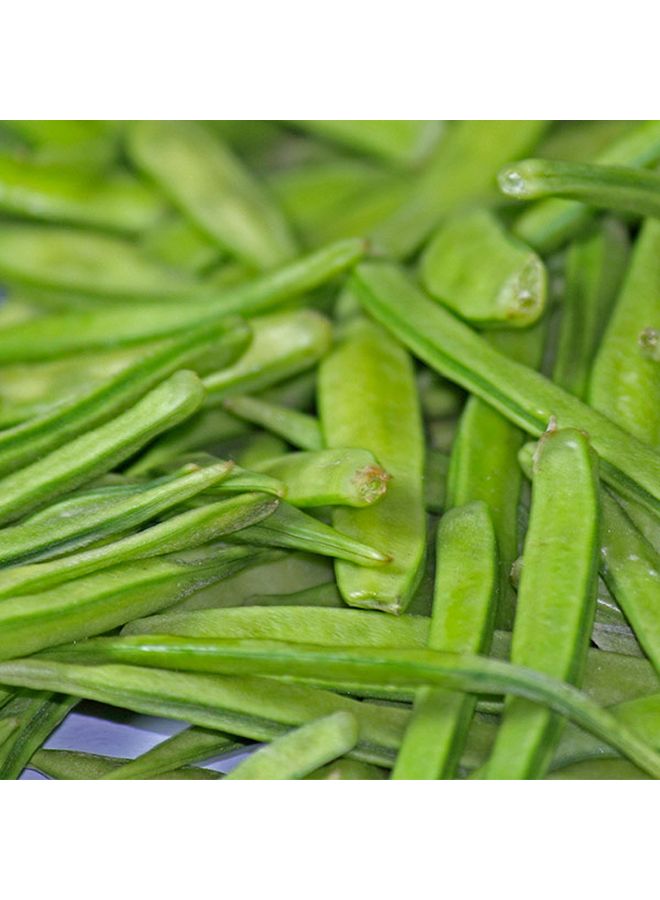 Real Food Guar Gum