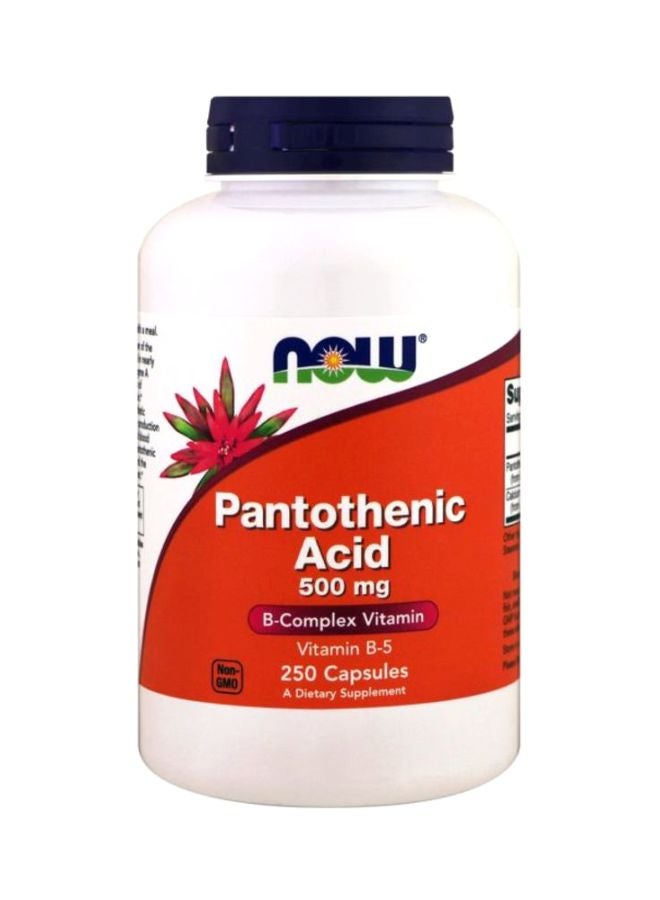 Now Foods Pantothenic Acid B-Complex Vitamin 500 mg - 250 Capsules  - Image 1
