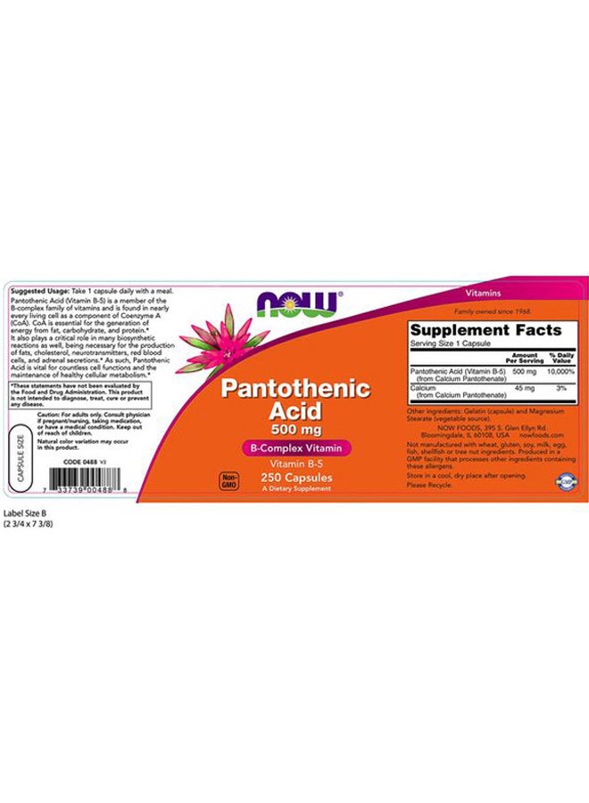 Now Foods Pantothenic Acid B-Complex Vitamin 500 mg - 250 Capsules  - Image 3