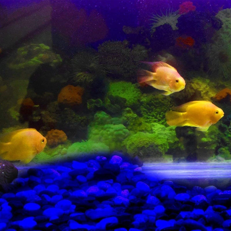 Beauenty Luminous Pebbles For Pathway Fish Tank Aquarium Blue - Image 3