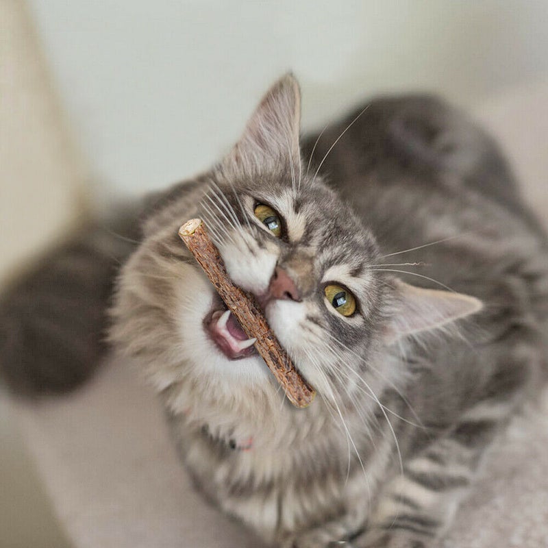 Beauenty Pack Of 4 Cat Catnip Toys Multicolour - Image 5