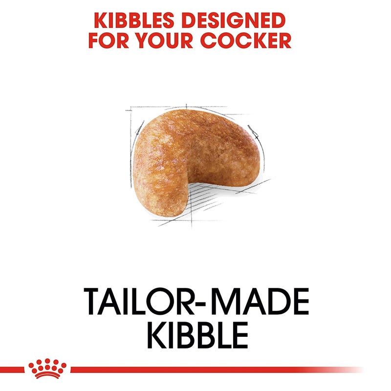 ROYAL CANIN BREED HEALTH NUTRITION COCKER ADULT Brown 3kg - Image 3