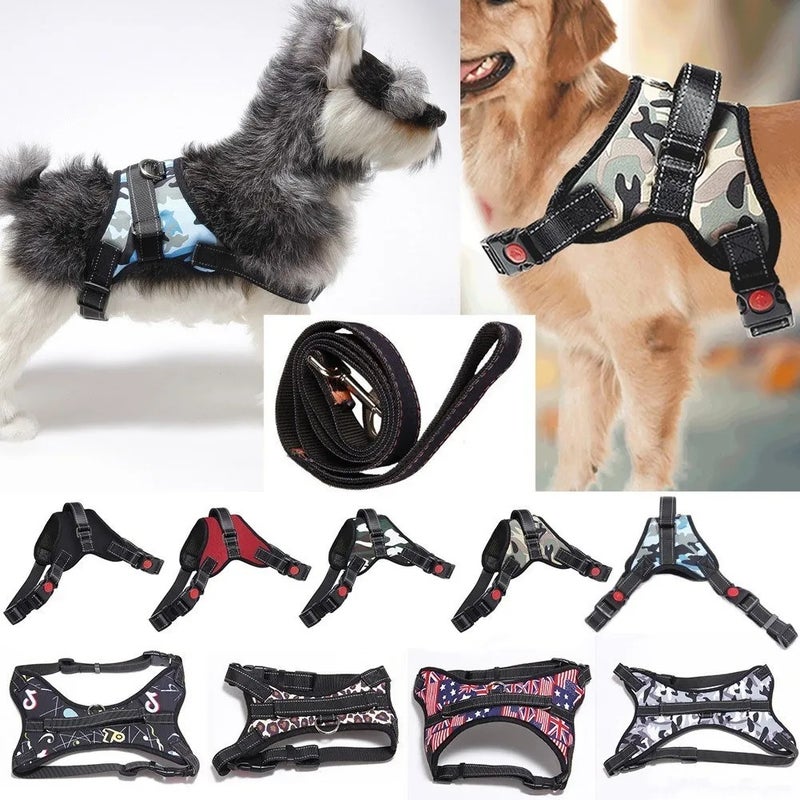 بيوينتي رسن من النايلون للكلاب اسود/أحمر/أرجواني 38-45سم - Image 4