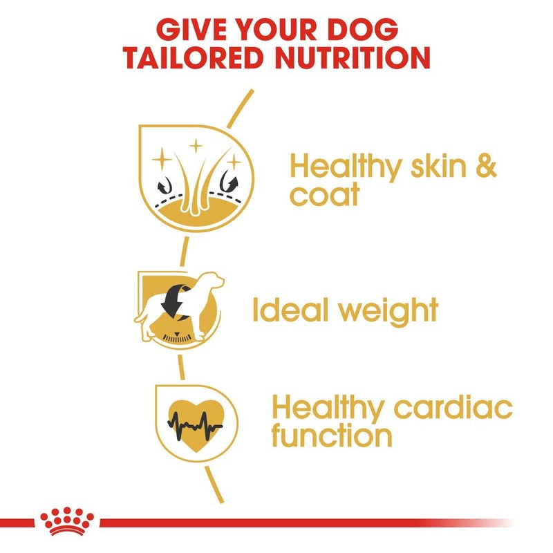 ROYAL CANIN Cocker Breed Health Nutrition For Adult Spaniel Brown 3kg - Image 3