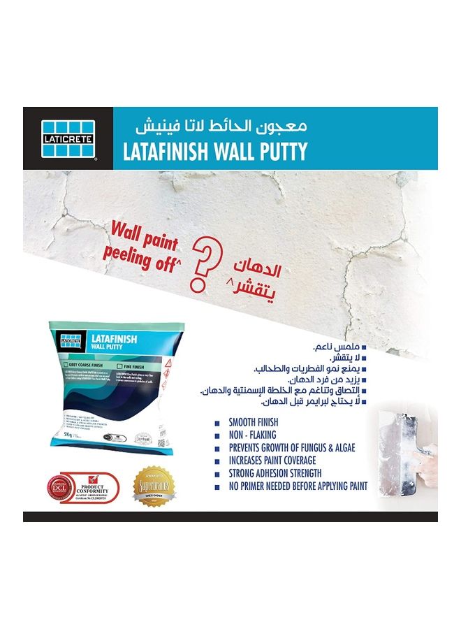 LATICRETE Wall Putty Fine White 5kg  - Image 2
