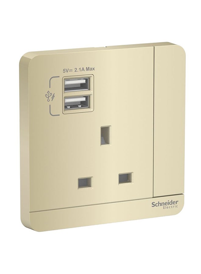 Schneider AvatarOn 2 USB Charger Switched Socket 3P 13A Gold 8.6cm