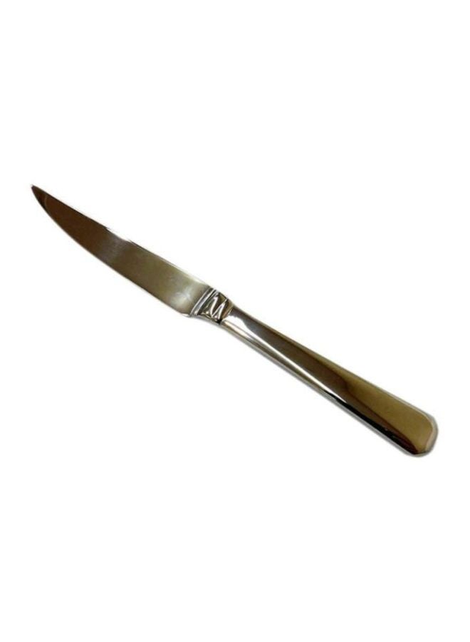 Winsor Stainless Steel Steak Knife Pilla Silver  - Image 1