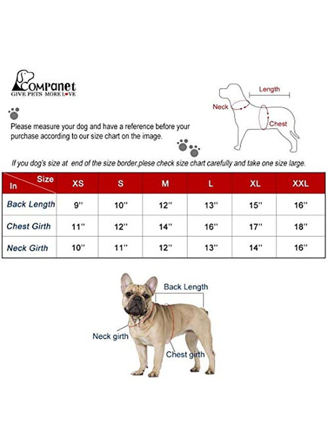 جمبسوت جينز من الجينز للحيوانات الأليفة متعدد الألوان X-Small - Image 5