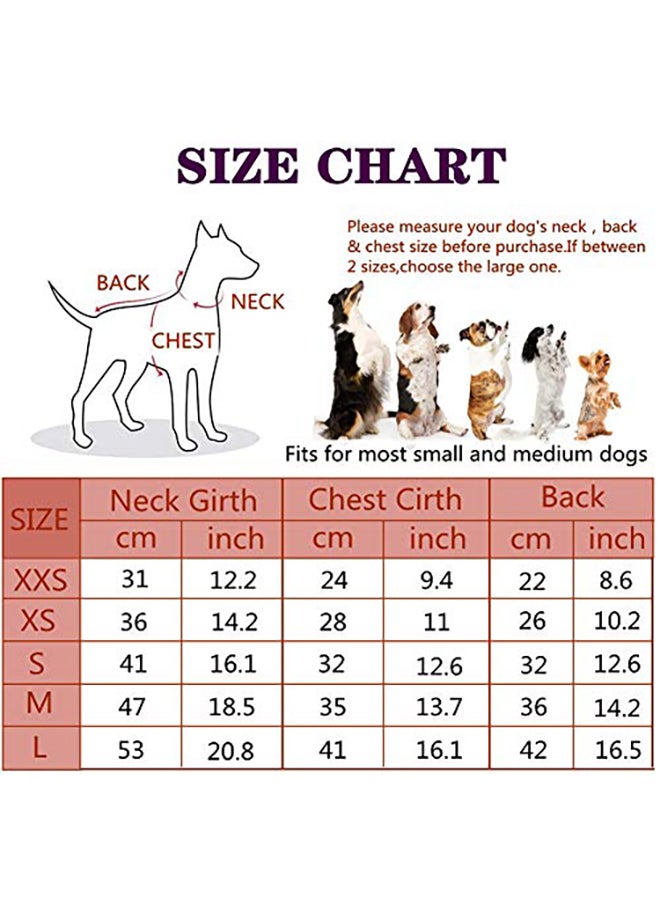 معطف شتوي بريطاني بنقشة مربعات للكلاب أحمر XS - Image 2