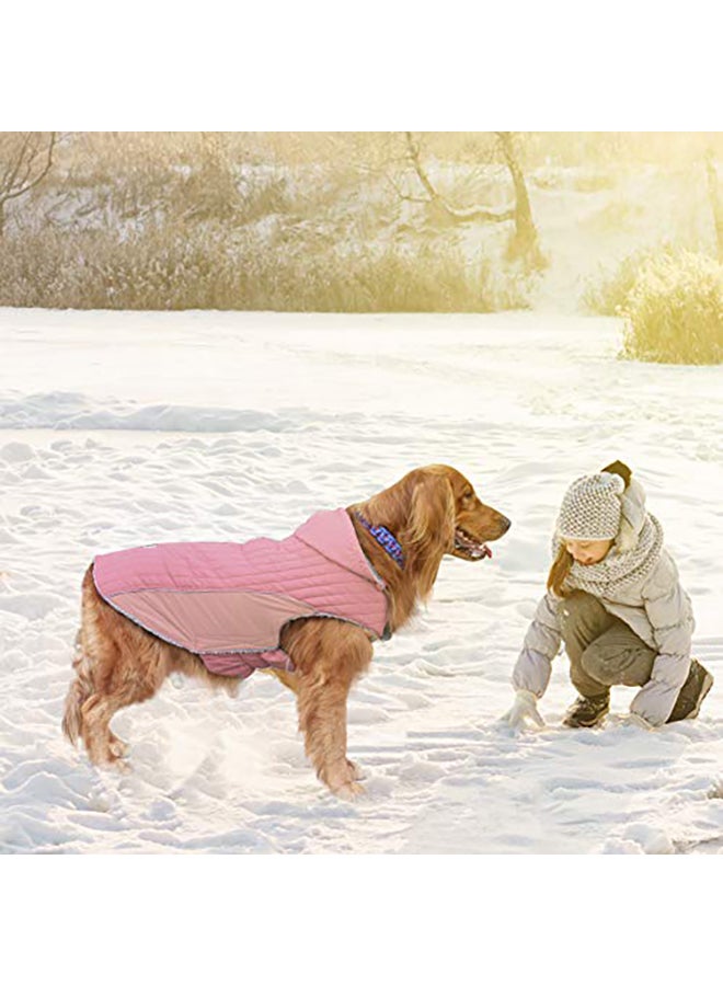 معطف شتوي للكلاب من إي ماست متعدد الألوان XS - Image 4