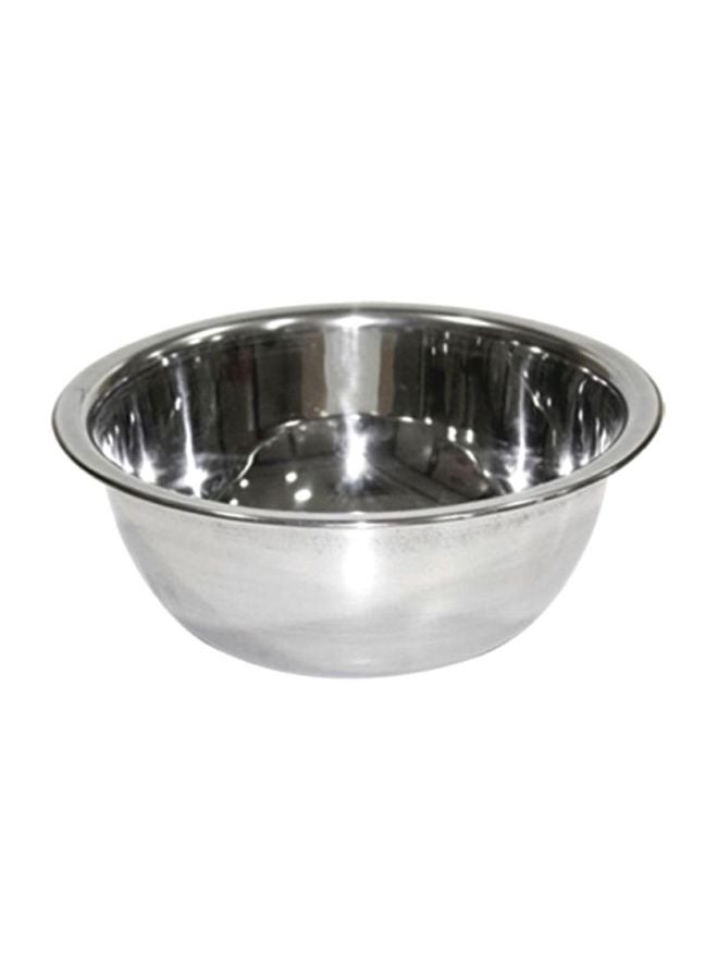 RAJ Fanta Stainless Steel Bowl Silver 11x27cm 