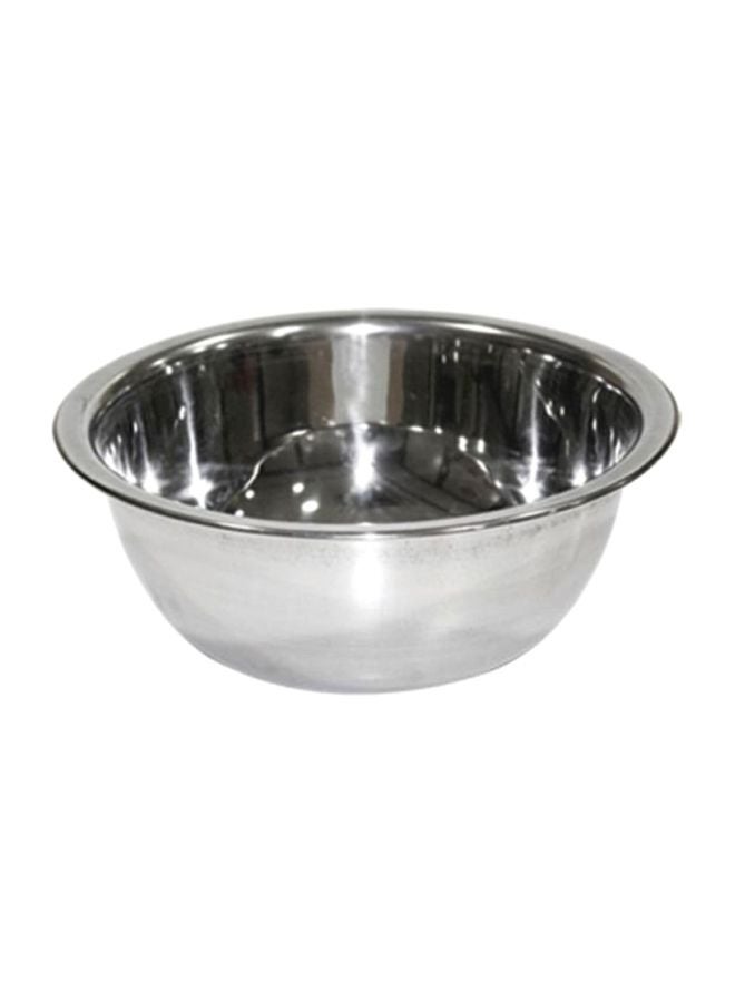 RAJ Fanta Stainless Steel Bowl Silver 30x12cm 