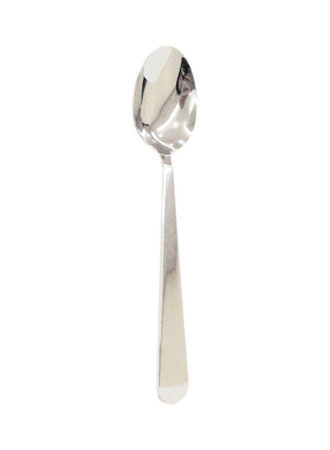 Winsor Stainless Steel Sparkle Dessert Spoon Silver  - Image 1