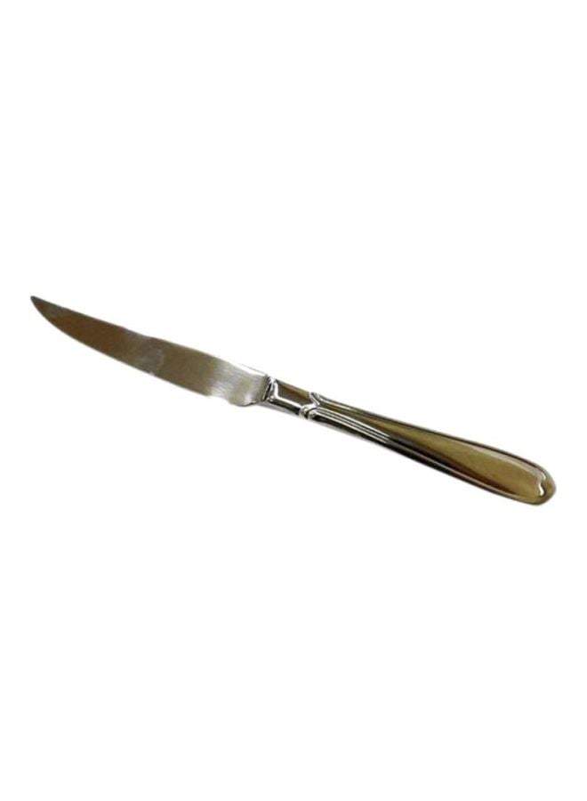 Winsor Stainless Steel 18/10 Steak Knife Proud Silver 10x262x72mm 