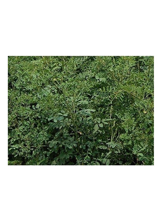 Online Quality Store Powder For Hair 1.9685X6.2992X6.2992inch - Image 5