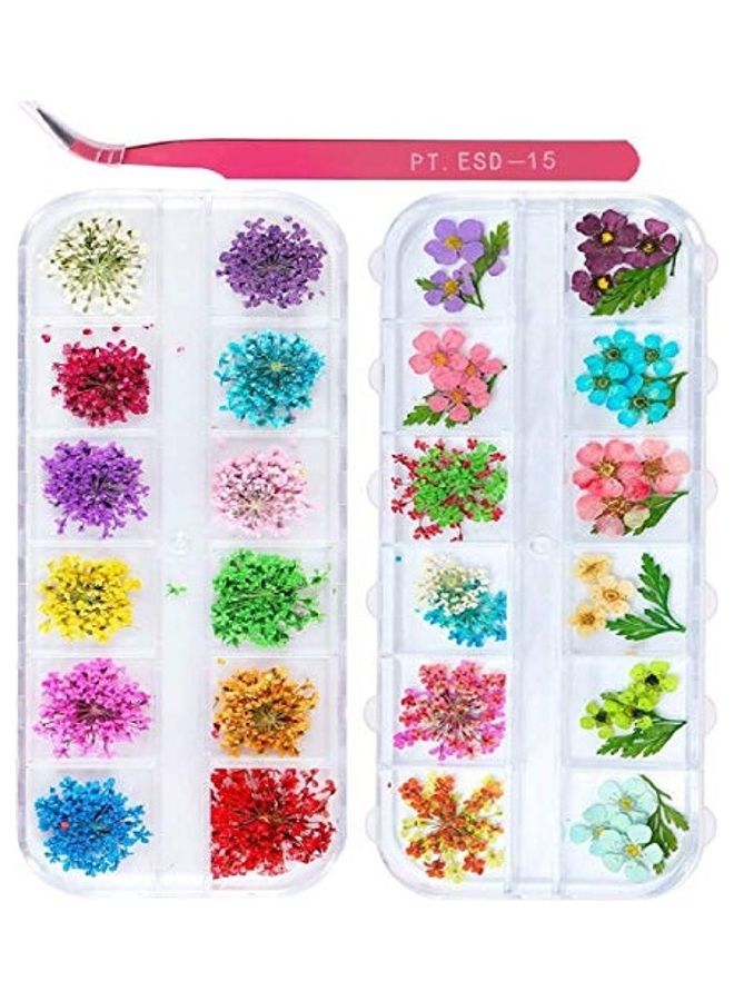 2 Box Nail Art Dried Flowers Multicolour - Image 1