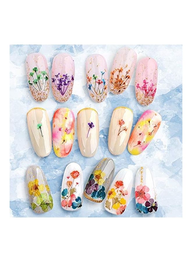 2 Box Nail Art Dried Flowers Multicolour - Image 2