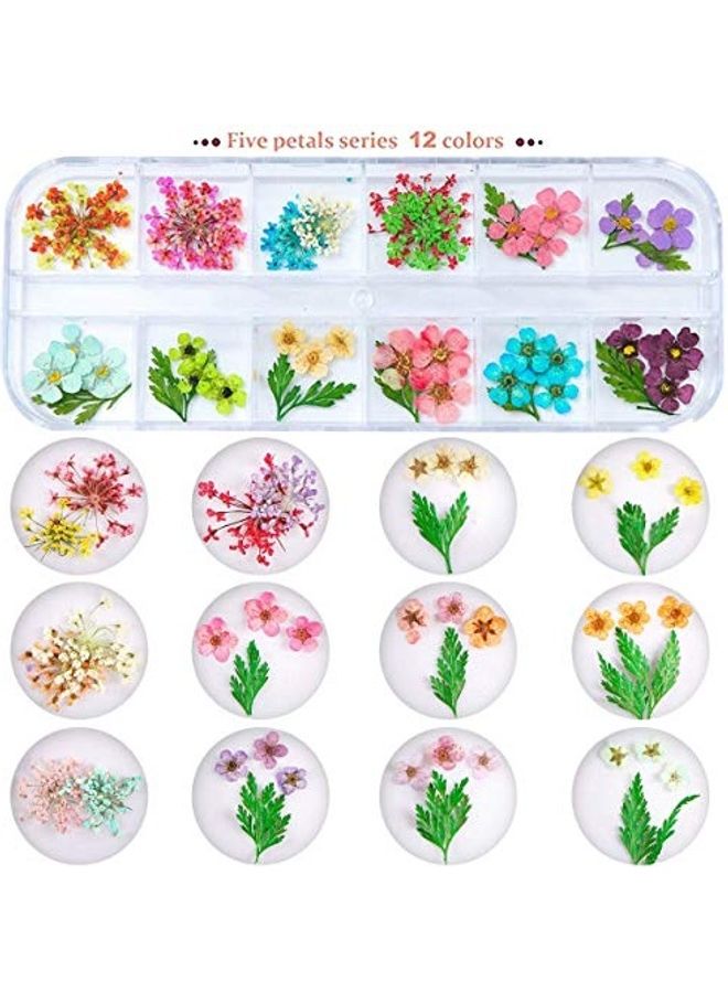 2 Box Nail Art Dried Flowers Multicolour - Image 3