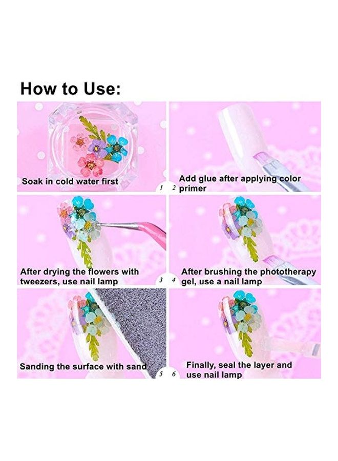 2 Box Nail Art Dried Flowers Multicolour - Image 4