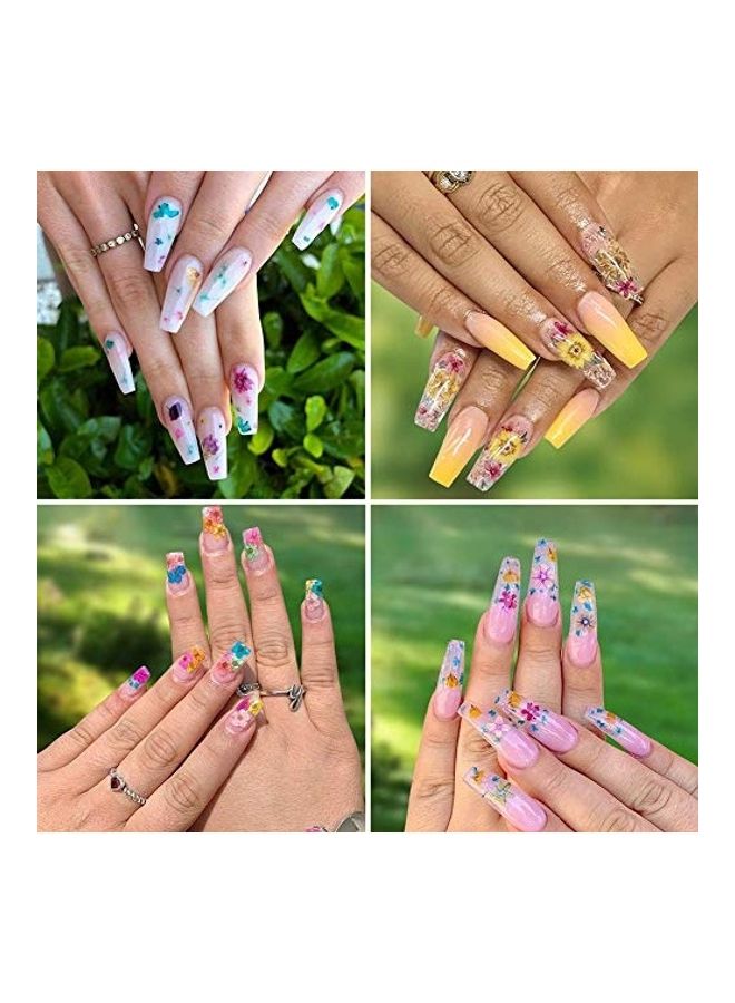 2 Box Nail Art Dried Flowers Multicolour - Image 5