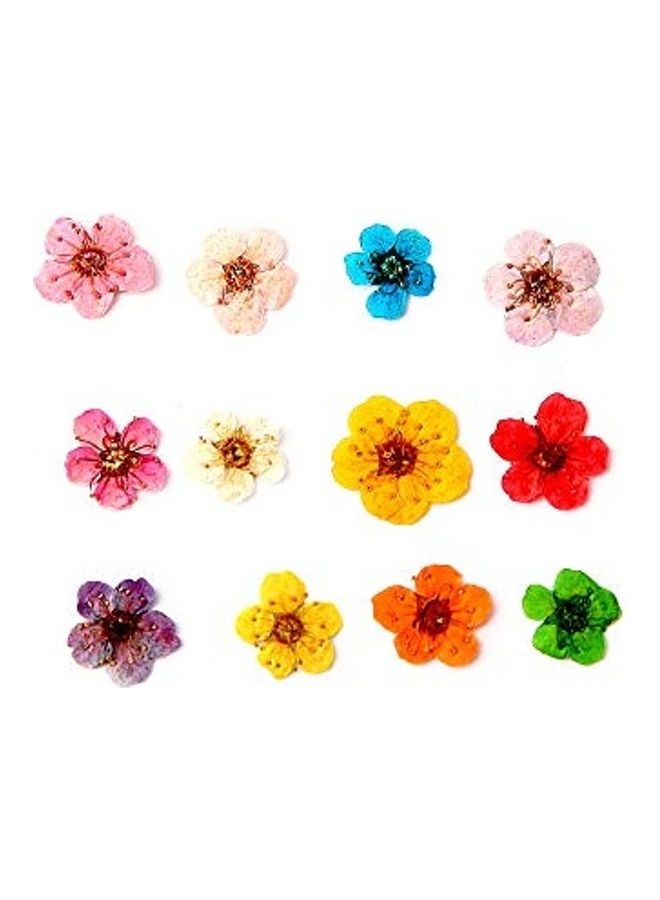 مجموعة ملصقات ملونة لتزيين الأظافر مكونة من 12 قطعة متعدد الألوان - Image 2