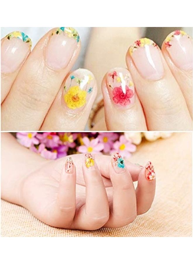 مجموعة ملصقات ملونة لتزيين الأظافر مكونة من 12 قطعة متعدد الألوان - Image 3