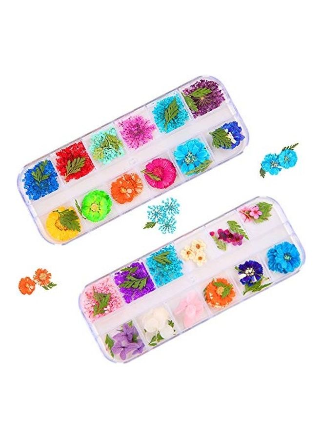 24 Piece 3D Dried Flowers For Nail Art Designs Multicolour - Image 1