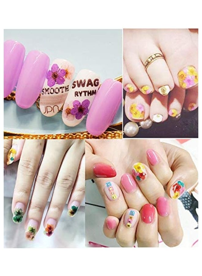 24 Piece 3D Dried Flowers For Nail Art Designs Multicolour - Image 3