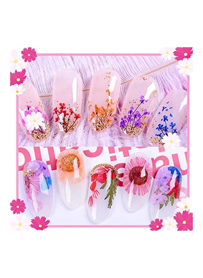 24 Piece 3D Dried Flowers For Nail Art Designs Multicolour - Image 4