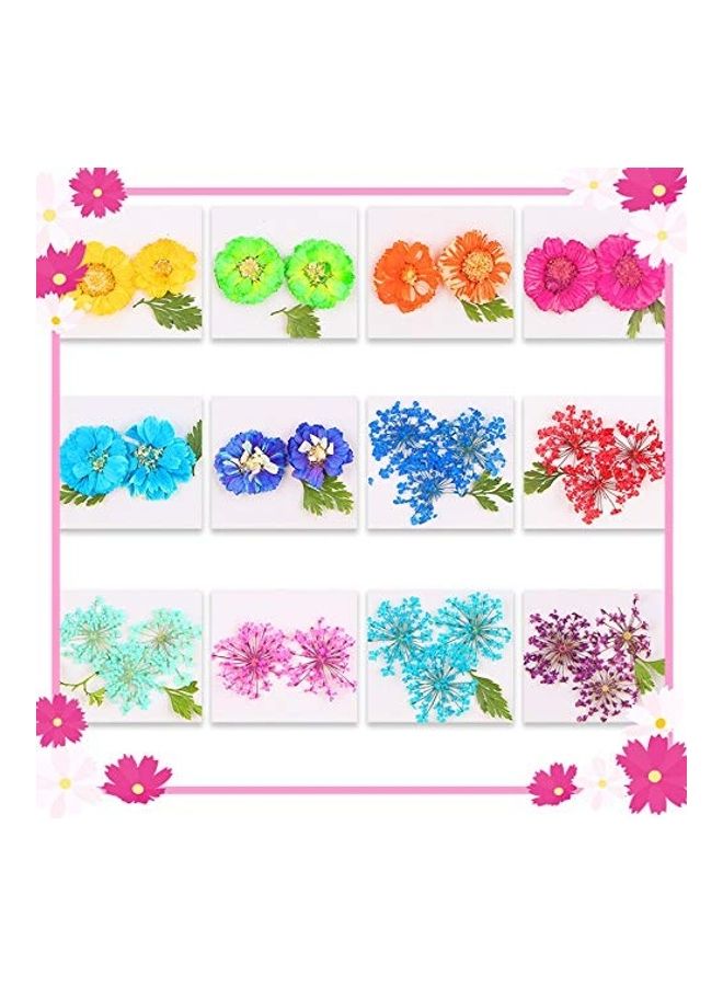 24 Piece 3D Dried Flowers For Nail Art Designs Multicolour - Image 5