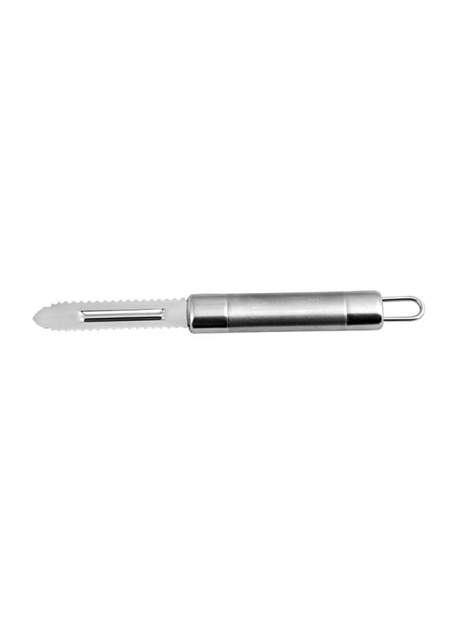 Stainless Steel Fish Peeler, Dishwasher-Safe, Marks And Stain Resistant, Ergonomic And Hygienic Design, 20.3 X 2.2 Cm Silver - v1615569700/N13337426A_2
