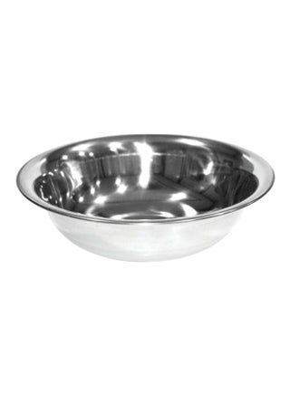 Stainless Steel Bowl Silver 7x24.5cm - v1615614539/N13016954A_1