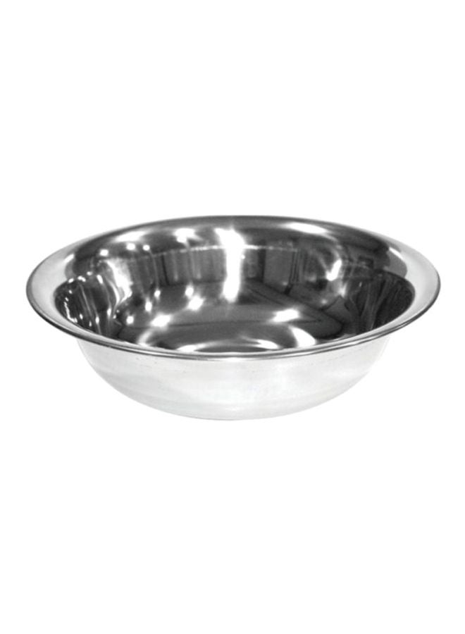 RAJ Stainless Steel Bowl Silver 7x24.5cm 