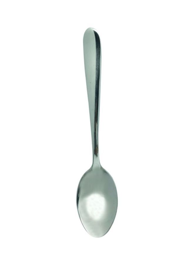 RAJ 6-Piece Coffee Spoon Set Silver  - Image 2