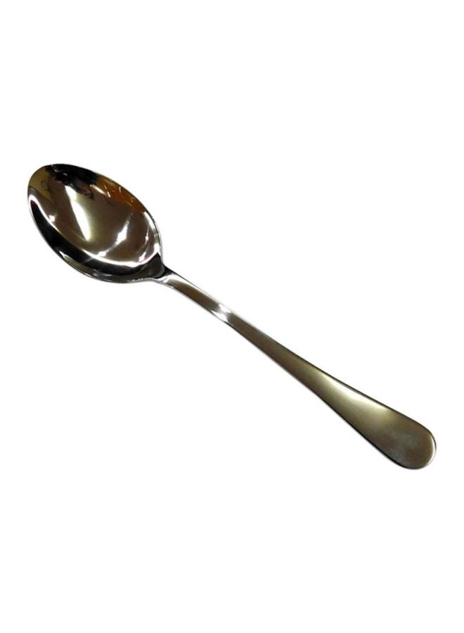 Winsor Fellini Tea Spoon Silver 13cm 