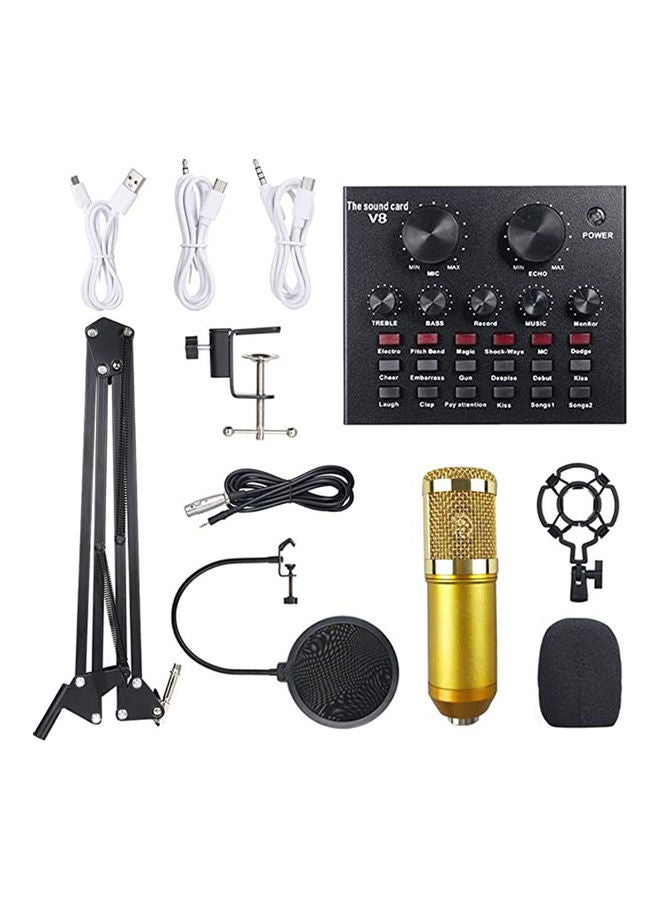 Arabest 13-Piece Sound Card Professional Studio Broadcasting Microphone Set ANY0060 Multicolour  - Image 1