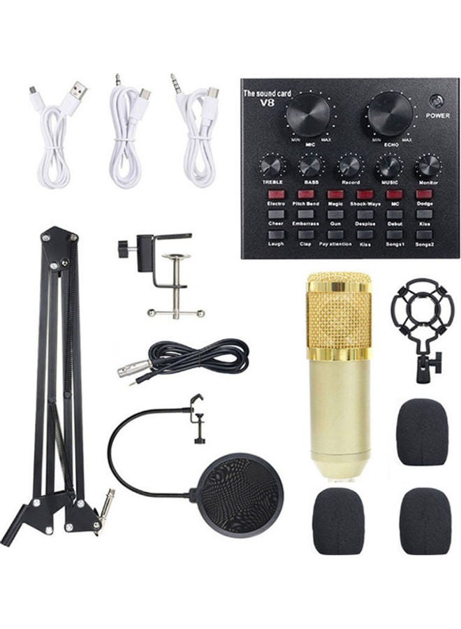 Arabest 13-Piece Multi-Functional Live Sound Card Broadcasting Recording Condenser Microphone Kit ANY0064 Multicolour - Image 1