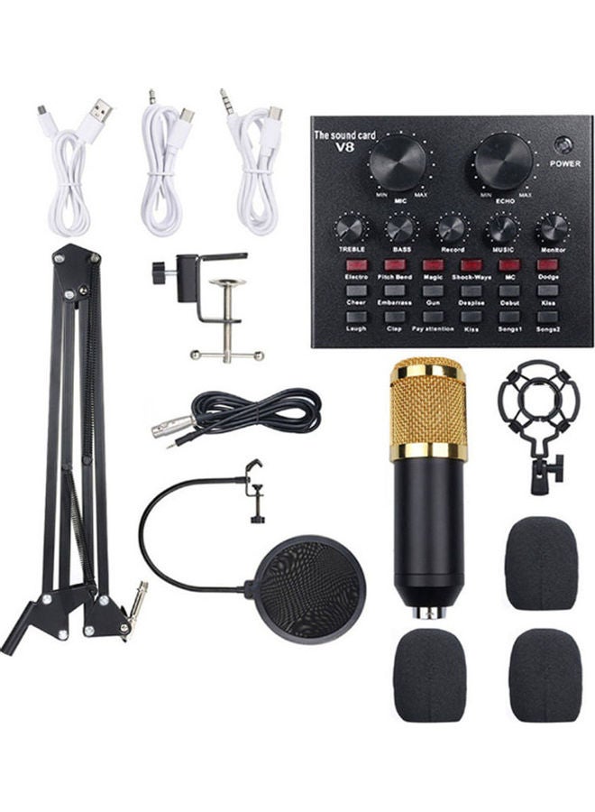 Arabest 13-Piece Multi-Functional Live Sound Card Studio Broadcasting Recording Microphone Set ANY0065 Multicolour - Image 1