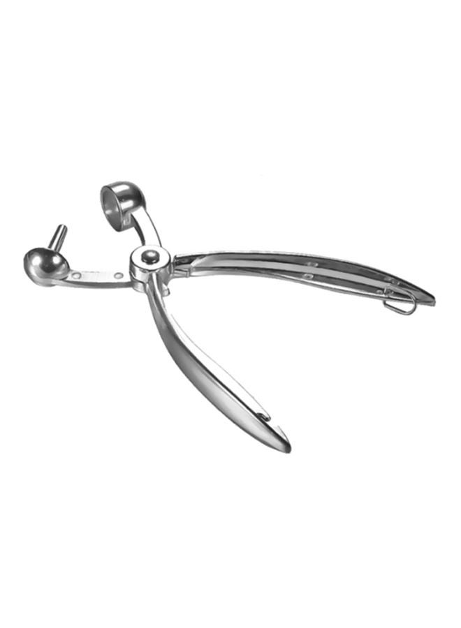 شاربدو فاصل للفاكهة متعدد الوظائف فضي 18x4x1.5سم - Image 1