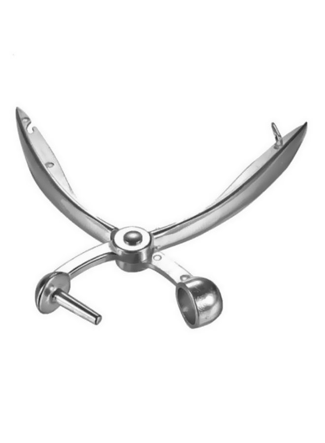 شاربدو فاصل للفاكهة متعدد الوظائف فضي 18x4x1.5سم - Image 2